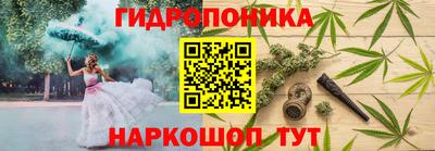 ПСИЛОЦИБИНОВЫЕ ГРИБЫ Нальчик