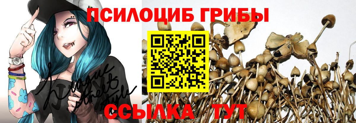 Псилоцибиновые грибы мицелий  Вход с VPN  Верхняя Салда 